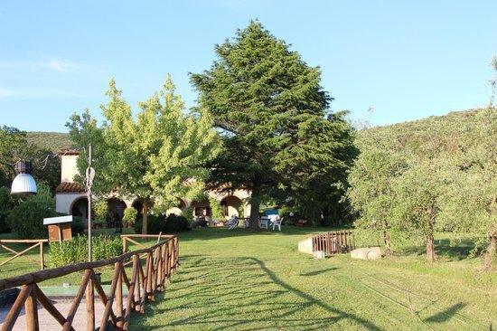 Agriturismo San Valentino Amelia Exterior foto